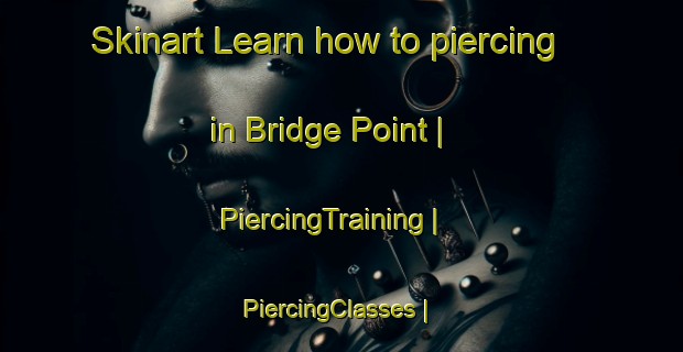 Skinart Learn how to piercing in Bridge Point | PiercingTraining | PiercingClasses | SkinartTraining-United States